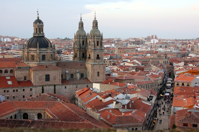 Cathedral Salamanca View