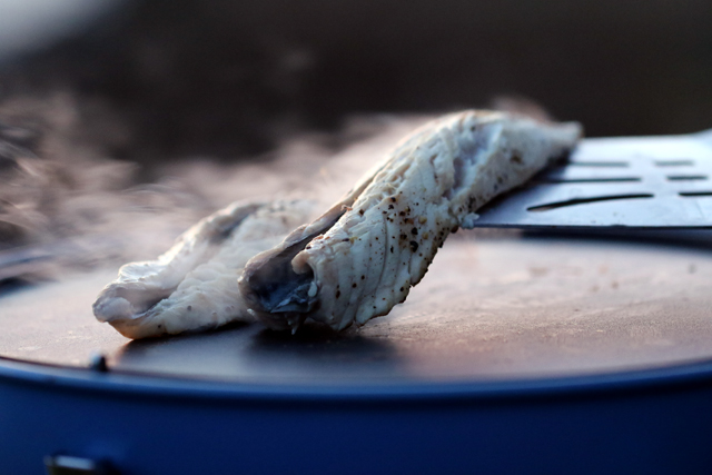 Campingaz Party Grill 400 Review – Cooking Freshly Caught Mackerel